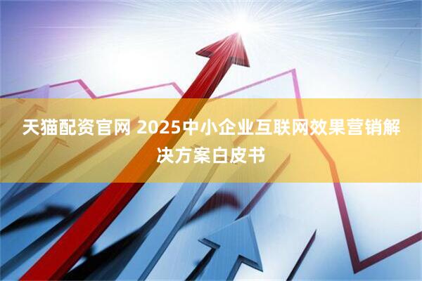 天猫配资官网 2025中小企业互联网效果营销解决方案白皮书