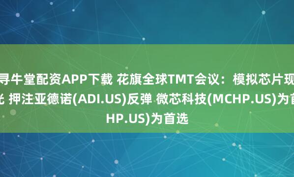 寻牛堂配资APP下载 花旗全球TMT会议：模拟芯片现曙光 押注亚德诺(ADI.US)反弹 微芯科技(MCHP.US)为首选